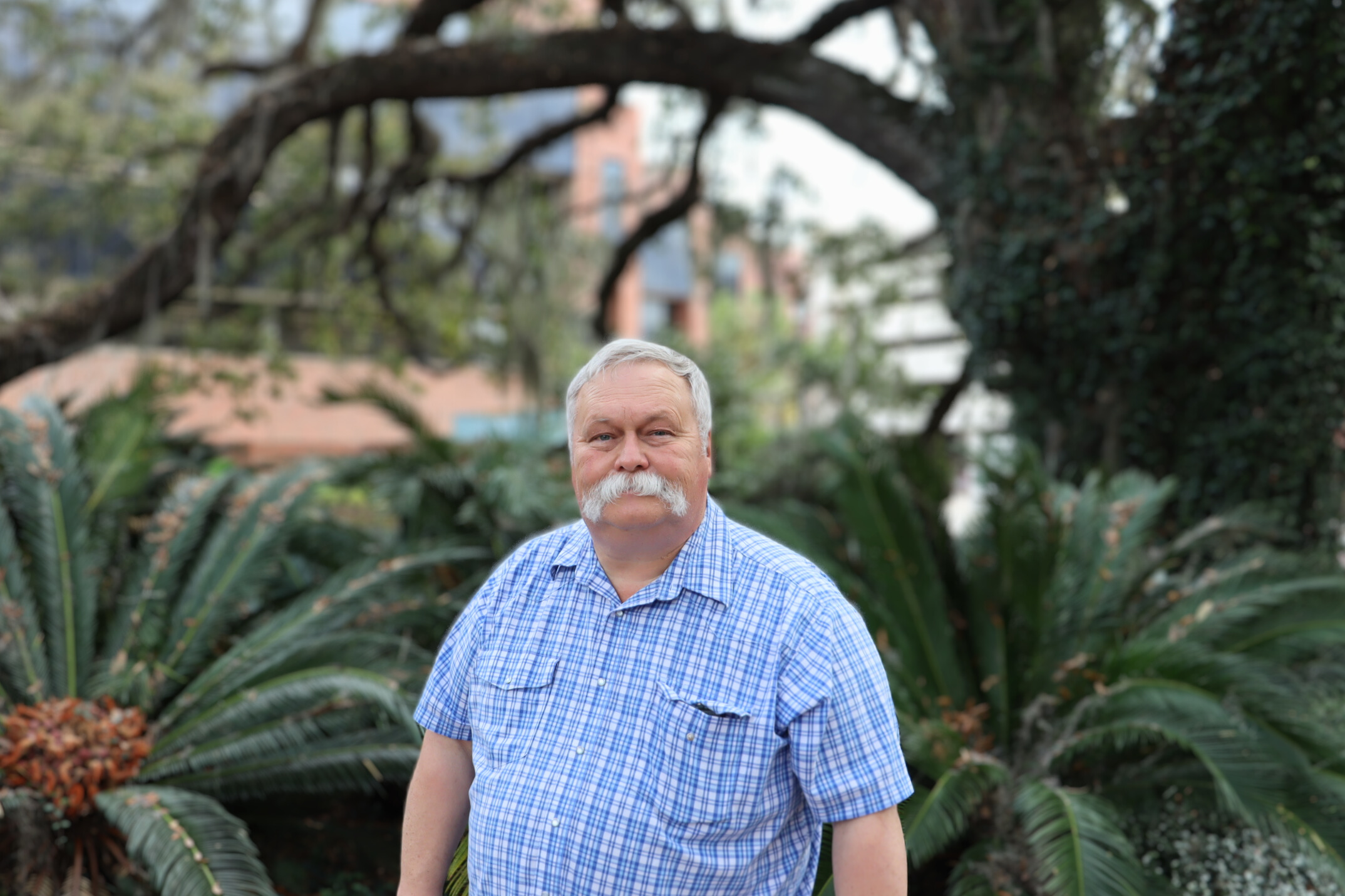 David Macmanus, Assistant Director of Grounds & Landscaping examines Like Oaks