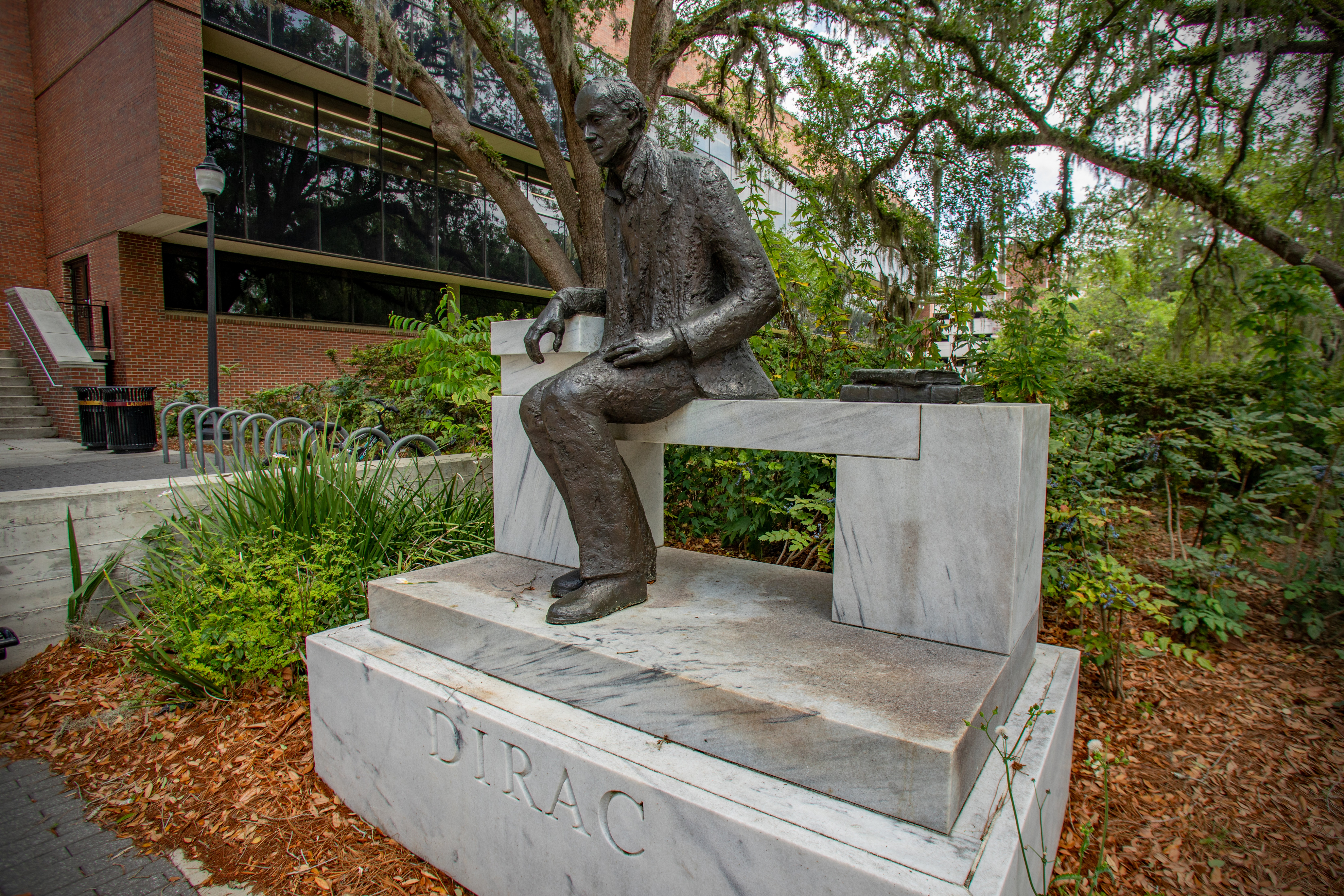 Example of a leaf layer in the natural area outside of the Dirac Science Library.