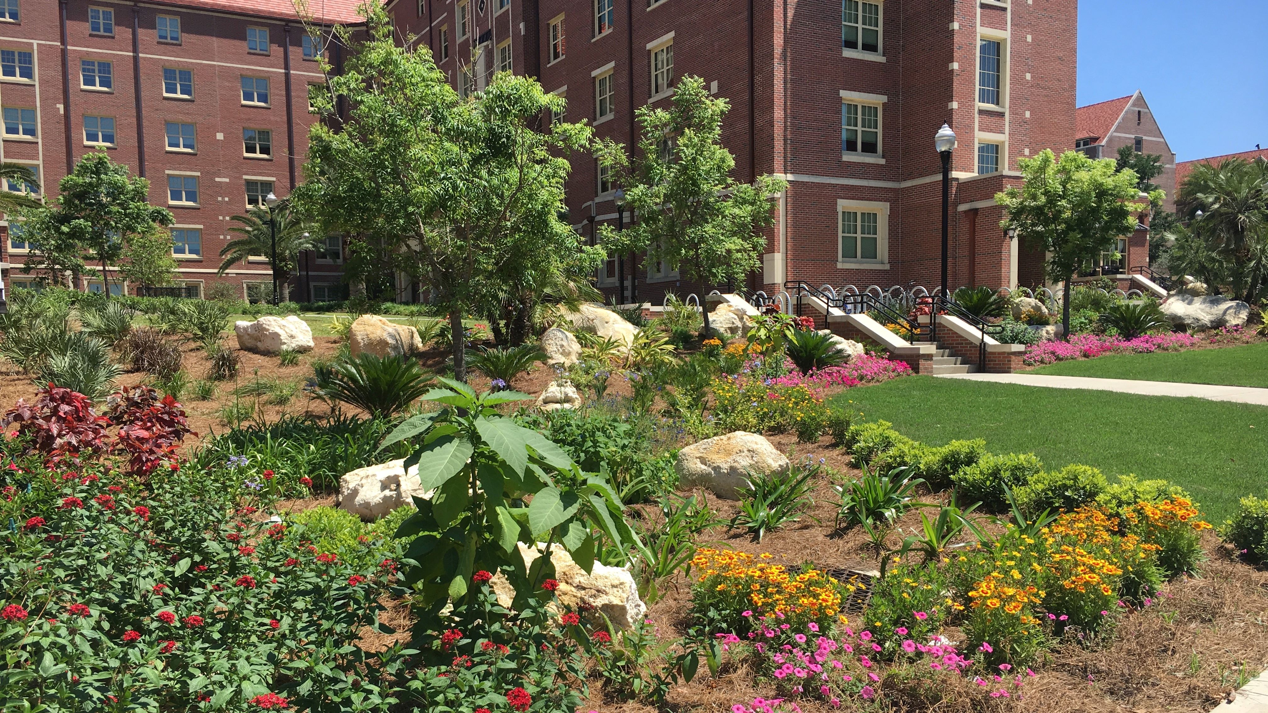 1851 Jefferson Side Landscape Improvements