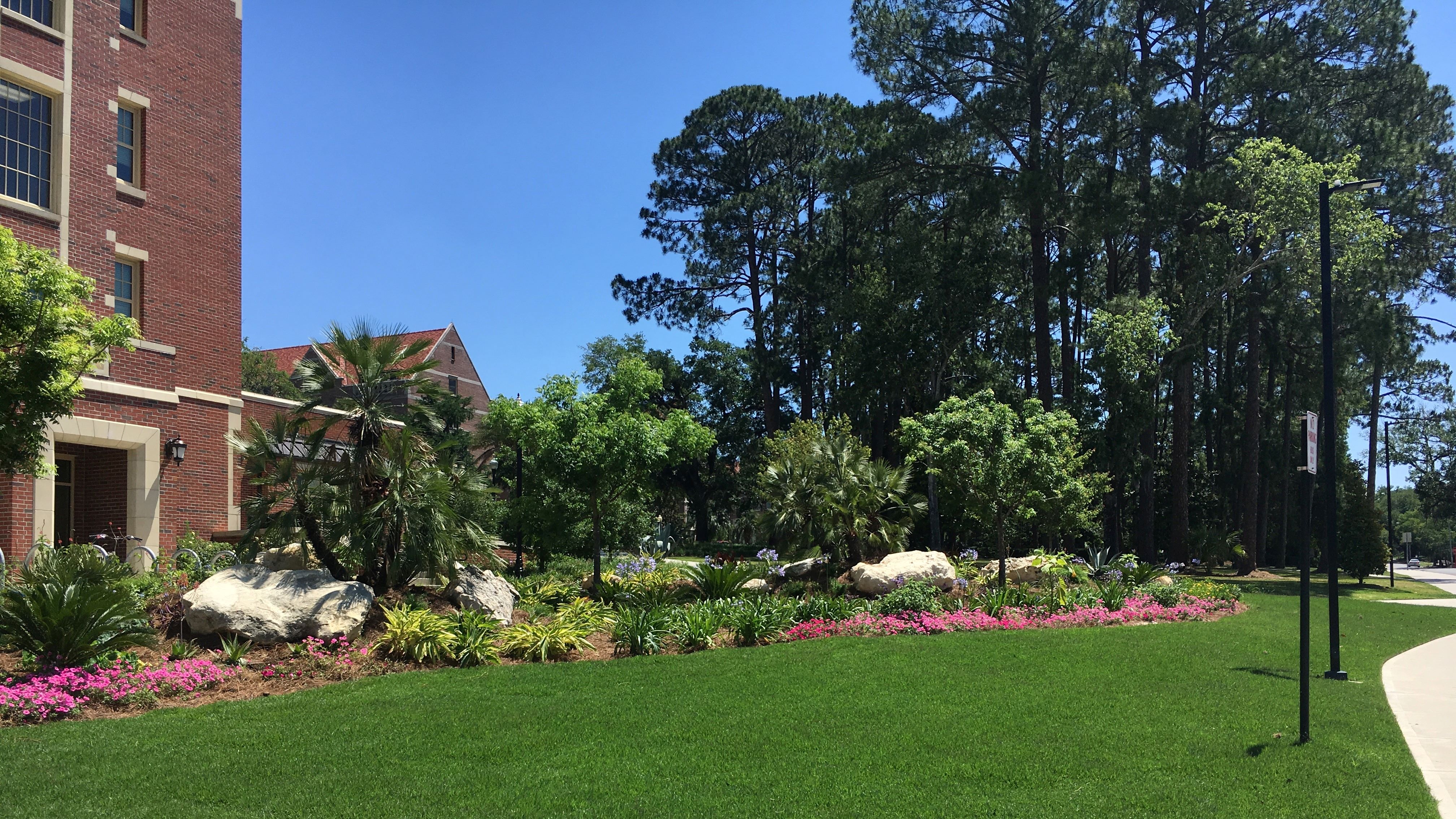 1851 Jefferson Side Landscape Improvements