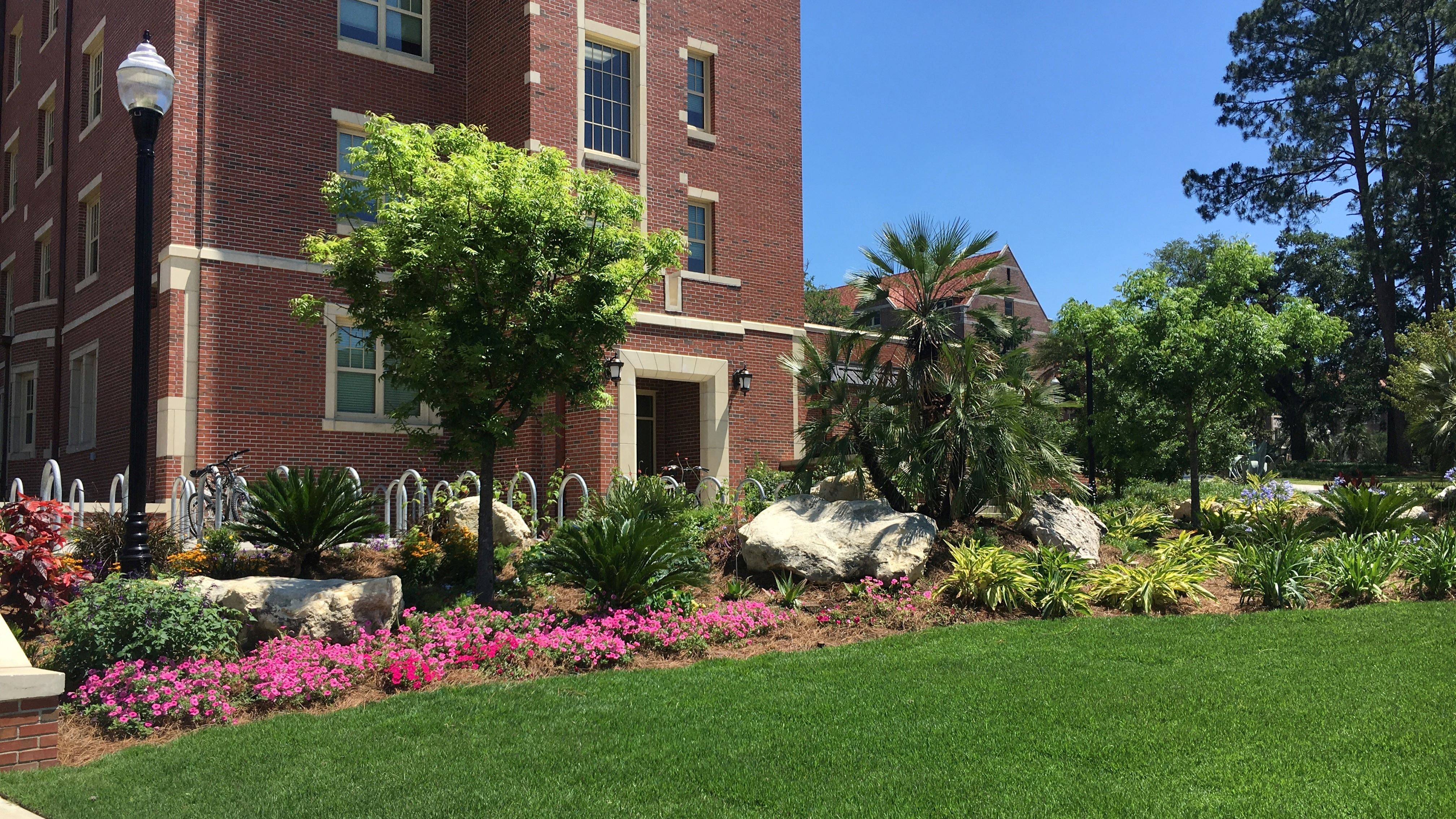 1851 Jefferson Side Landscape Improvements