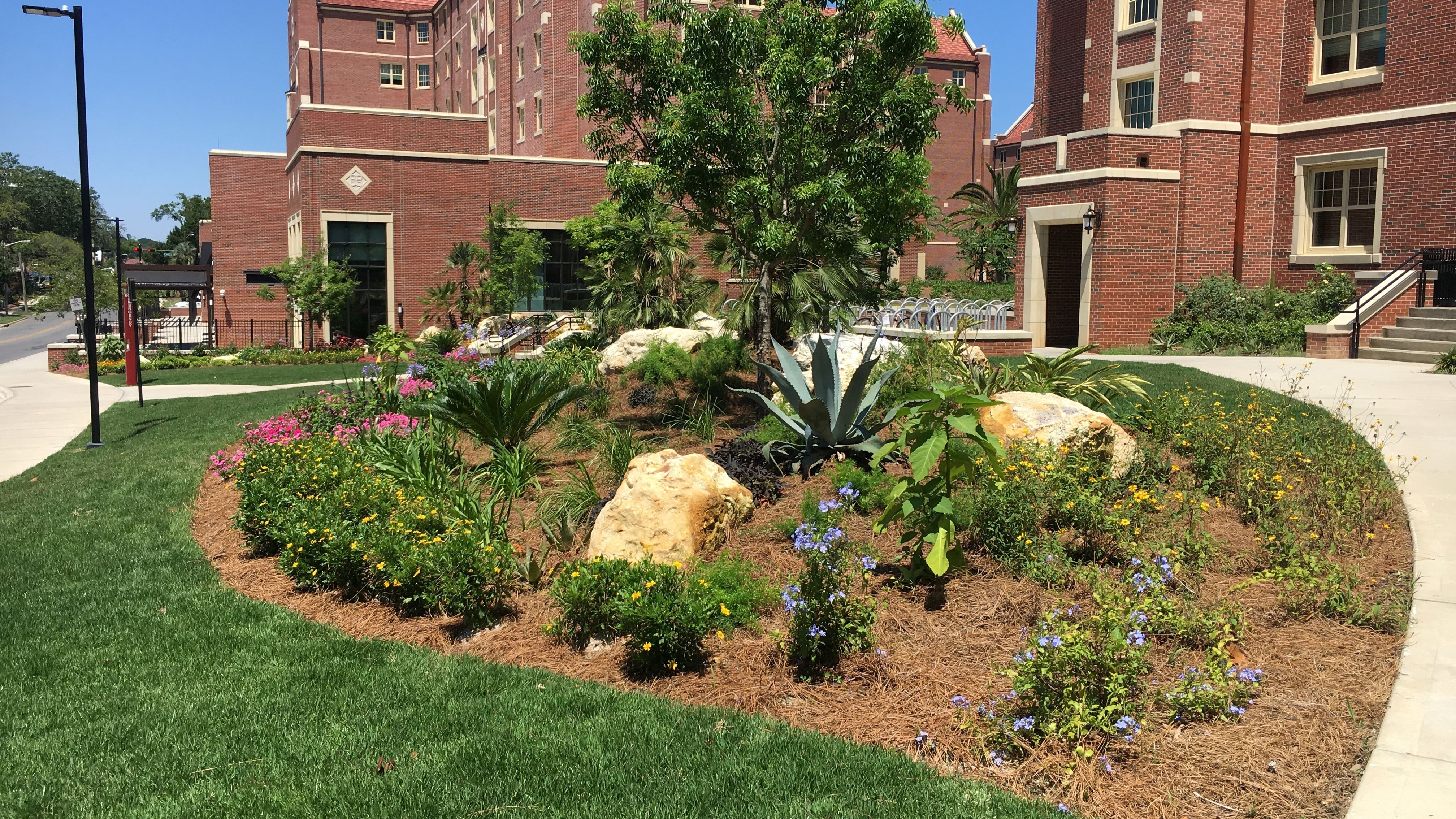 1851 Jefferson Side Landscape Improvements