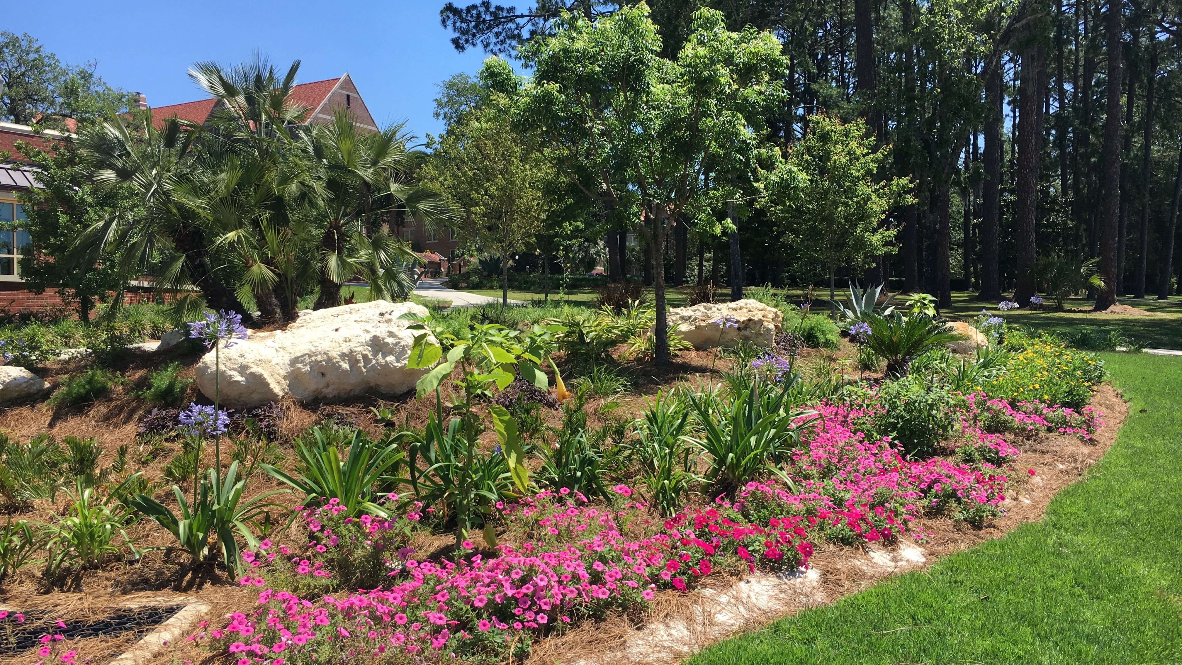 1851 Jefferson Side Landscape Improvements