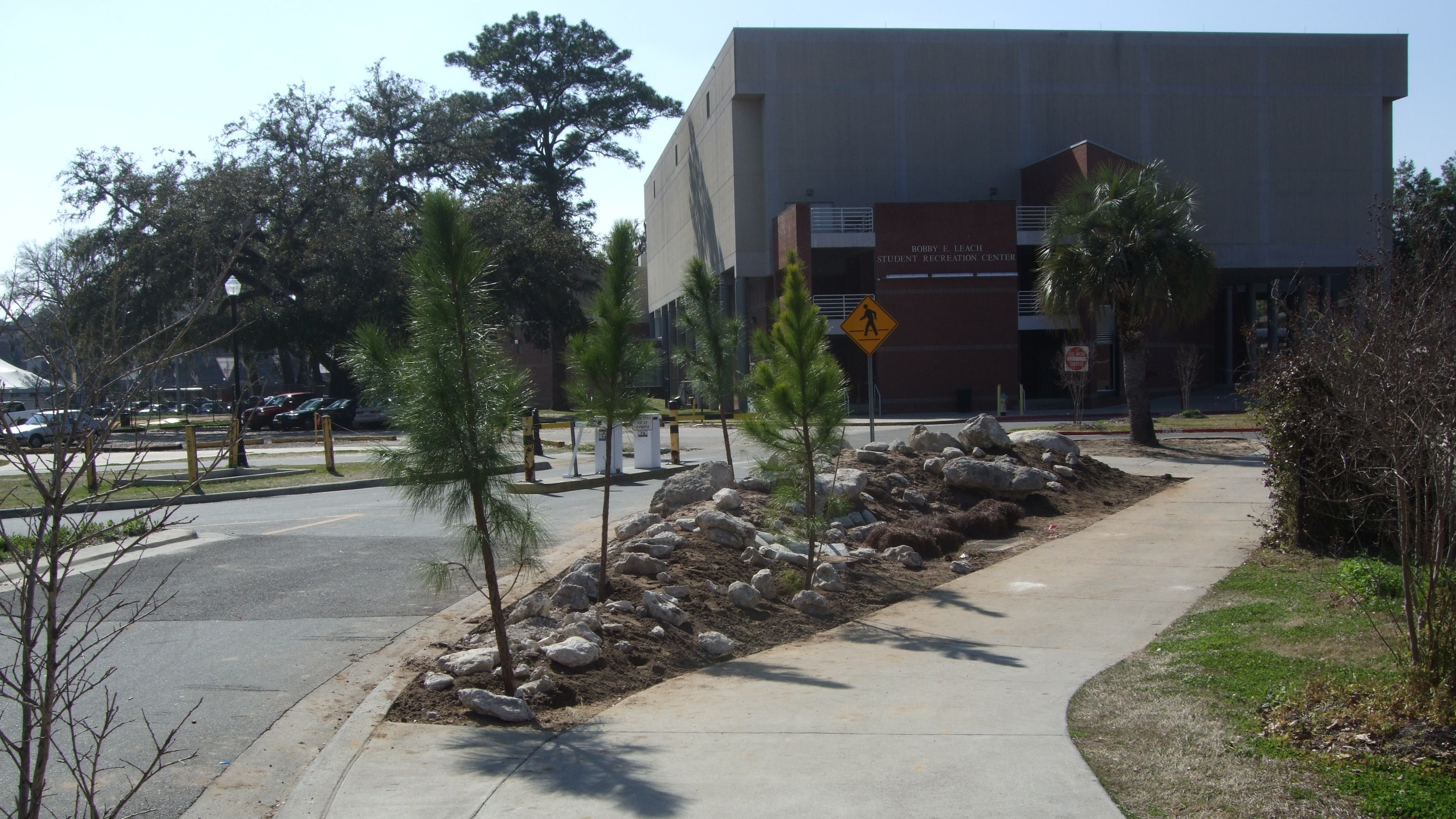 Call Street Berm