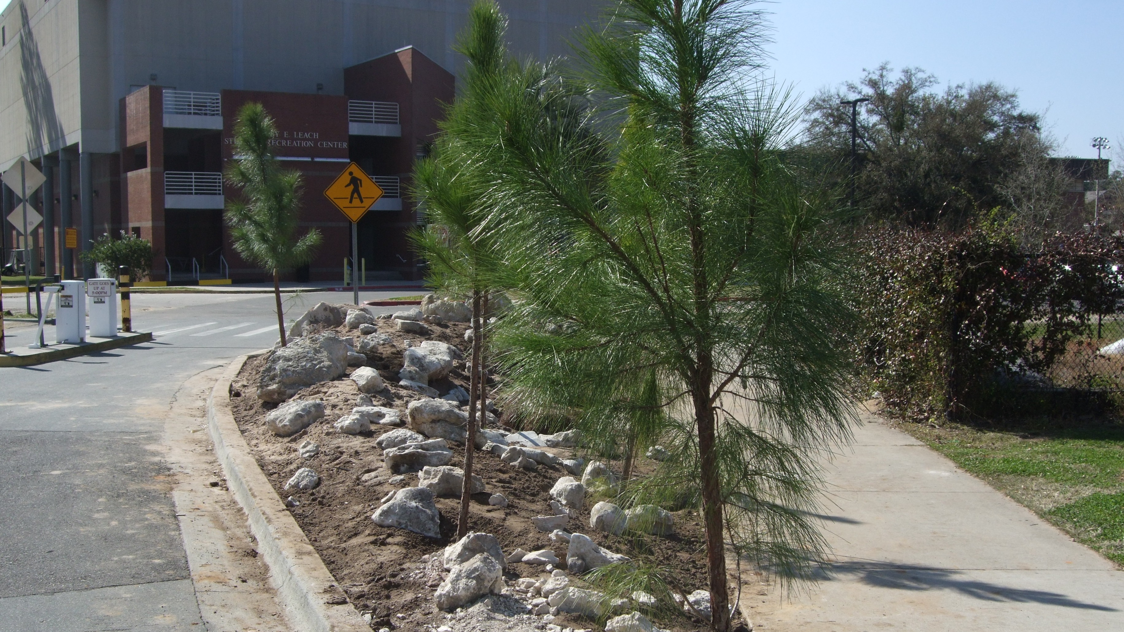 Call Street Berm