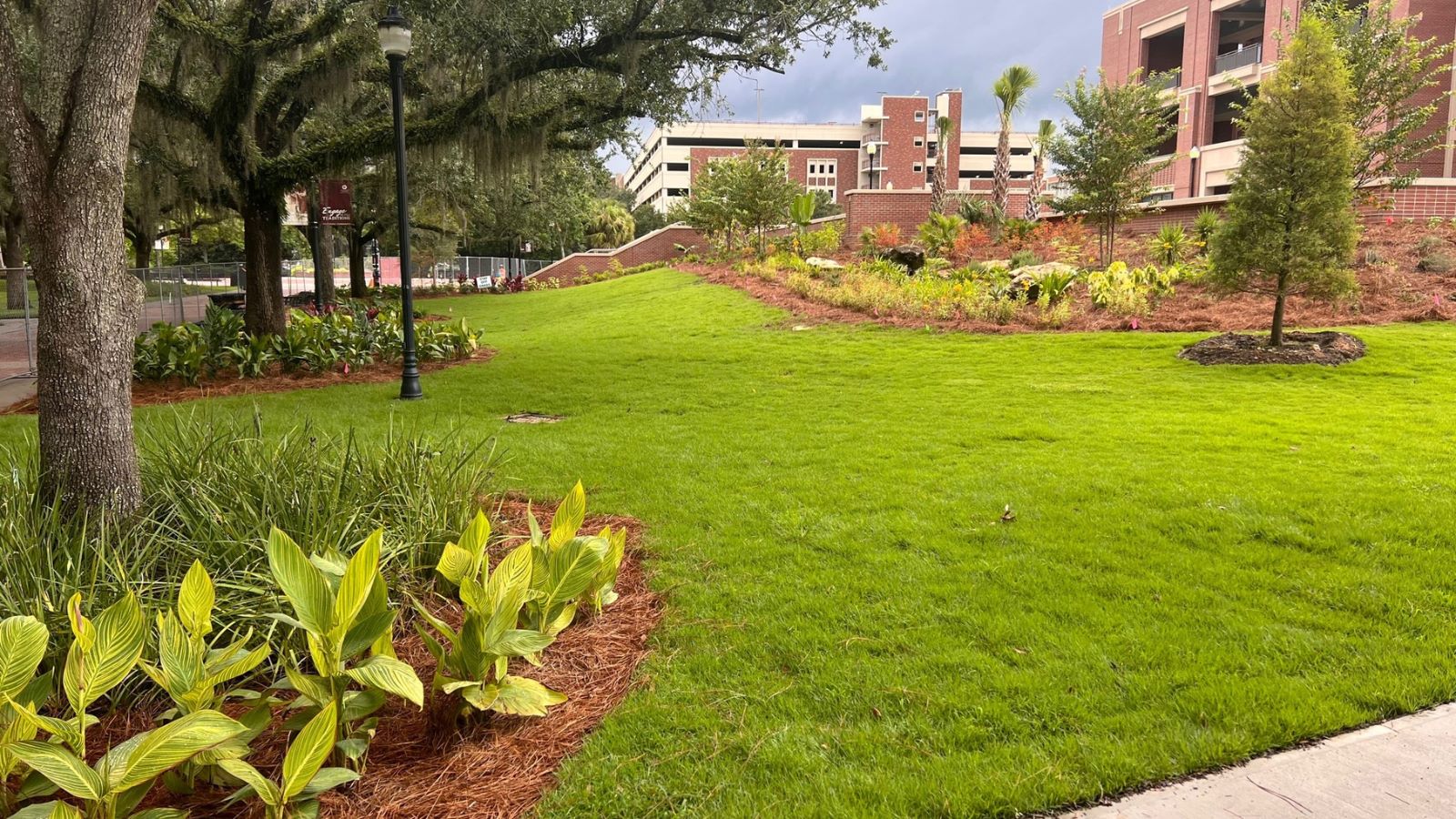 Student Union Landscape