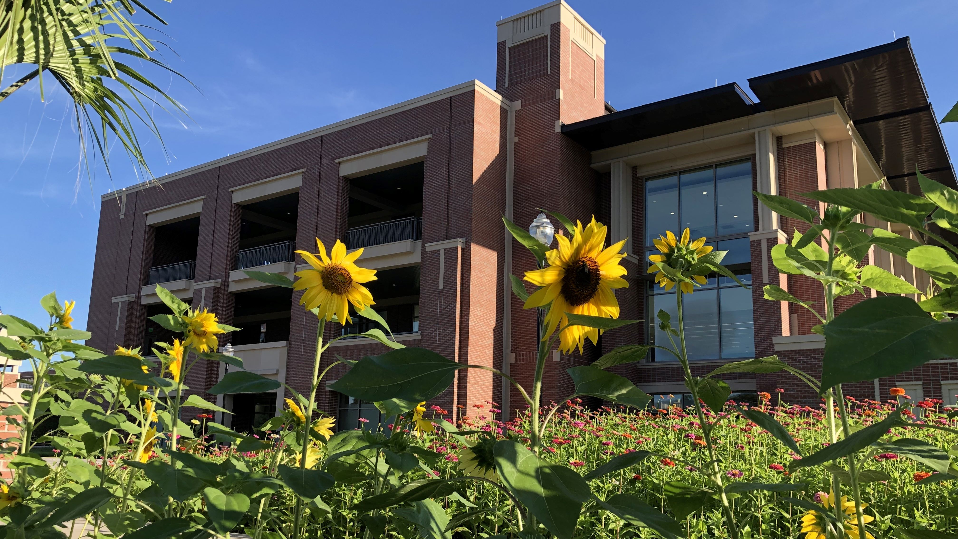 Student Union Landscape