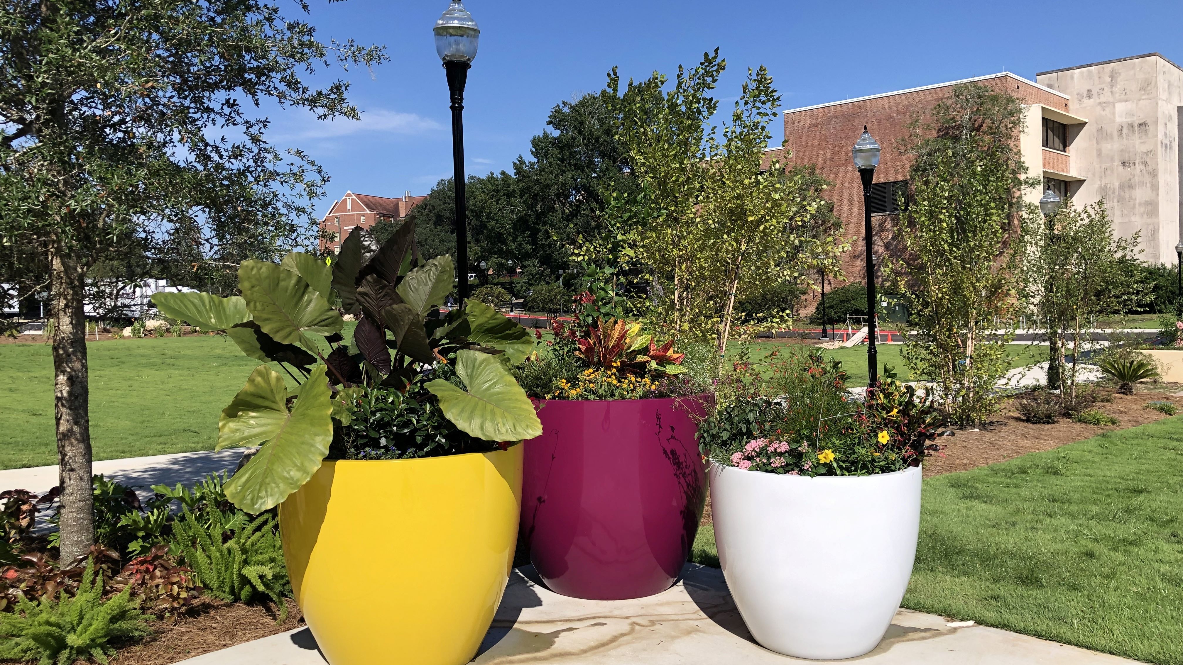 Student Union Landscape