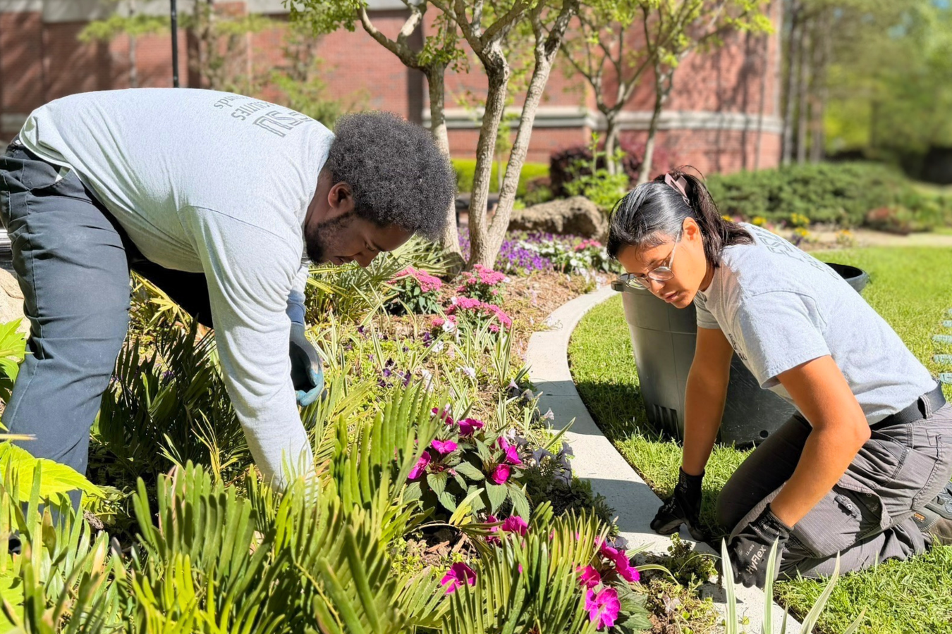 Grounds & Landscaping