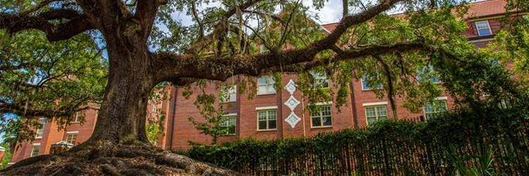 Leave The Leaves Campaign: From Campus To Your Backyard